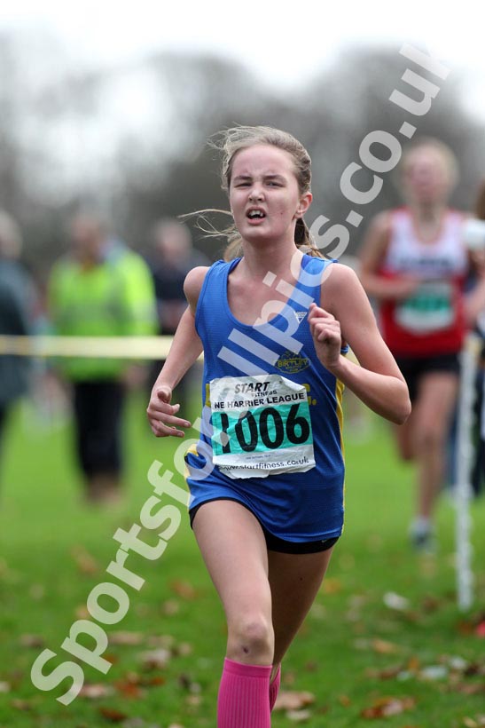 Green 1006, North East Harrier League, Blaydon.